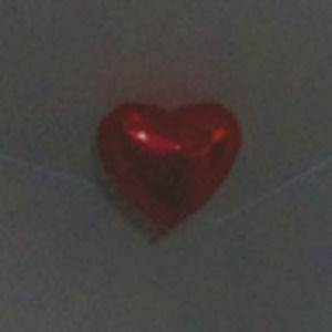 Meet your Posher, Kyla